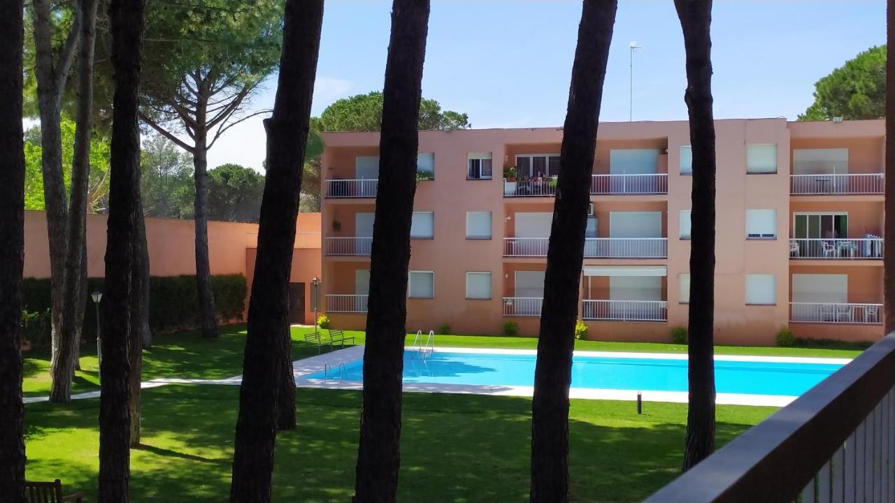 Bonito Apartamento, Con Piscina, Excelente Wifi Y Aire Acondicionado Пальс Экстерьер фото