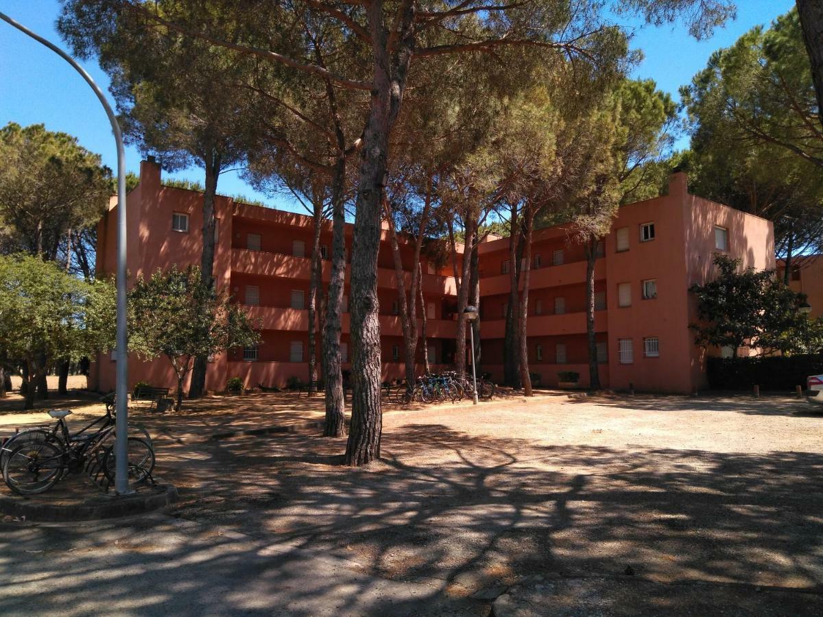Bonito Apartamento, Con Piscina, Excelente Wifi Y Aire Acondicionado Пальс Экстерьер фото